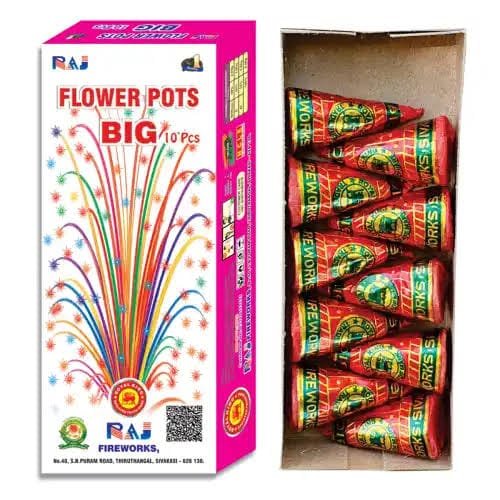 Flower Pots big